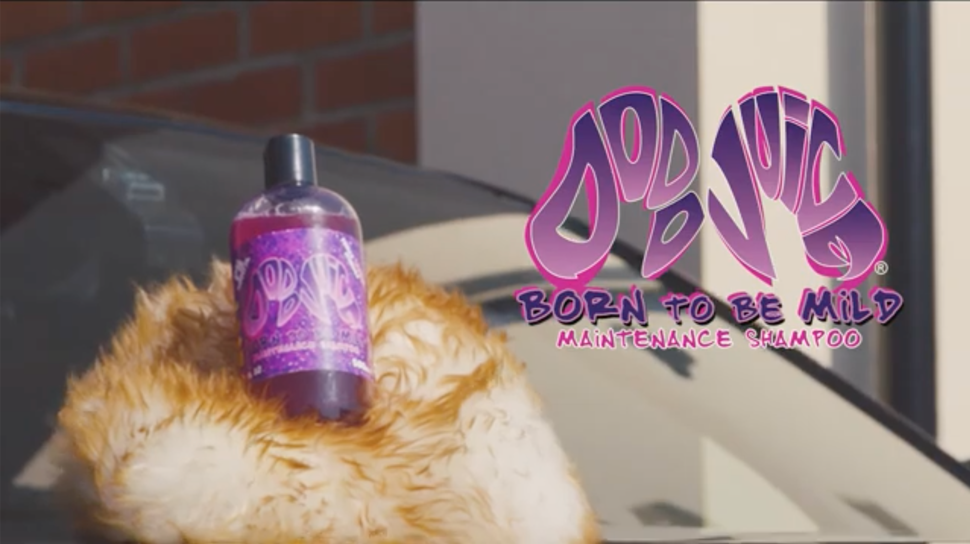 Born to be Mild pH Neutral Car Shampoo