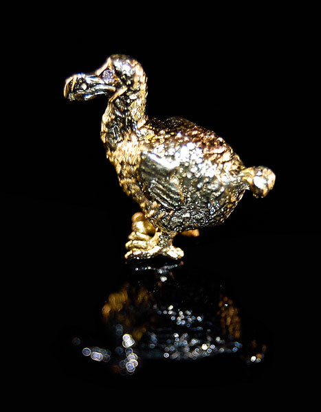 Rainforest Rub Pro Golden Dodo Edition 250ml - limited edition hybrid soft car wax